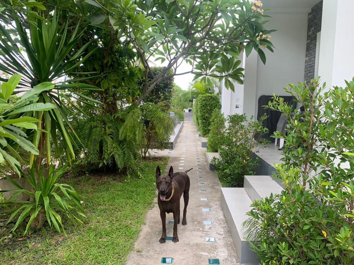 Phangan Hometown Resort - Adults Only Baan Tai Ngoại thất bức ảnh
