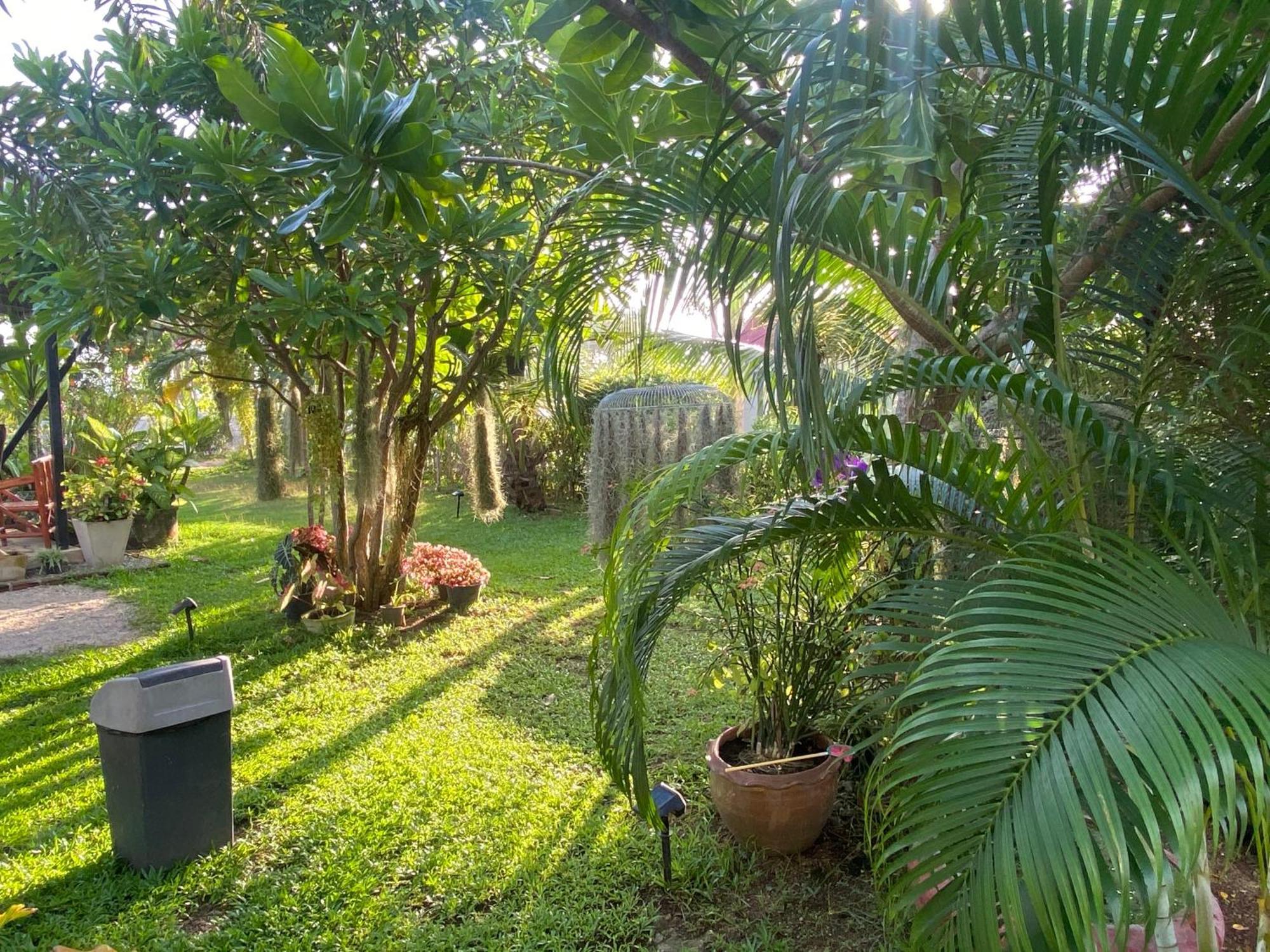 Phangan Hometown Resort - Adults Only Baan Tai Ngoại thất bức ảnh