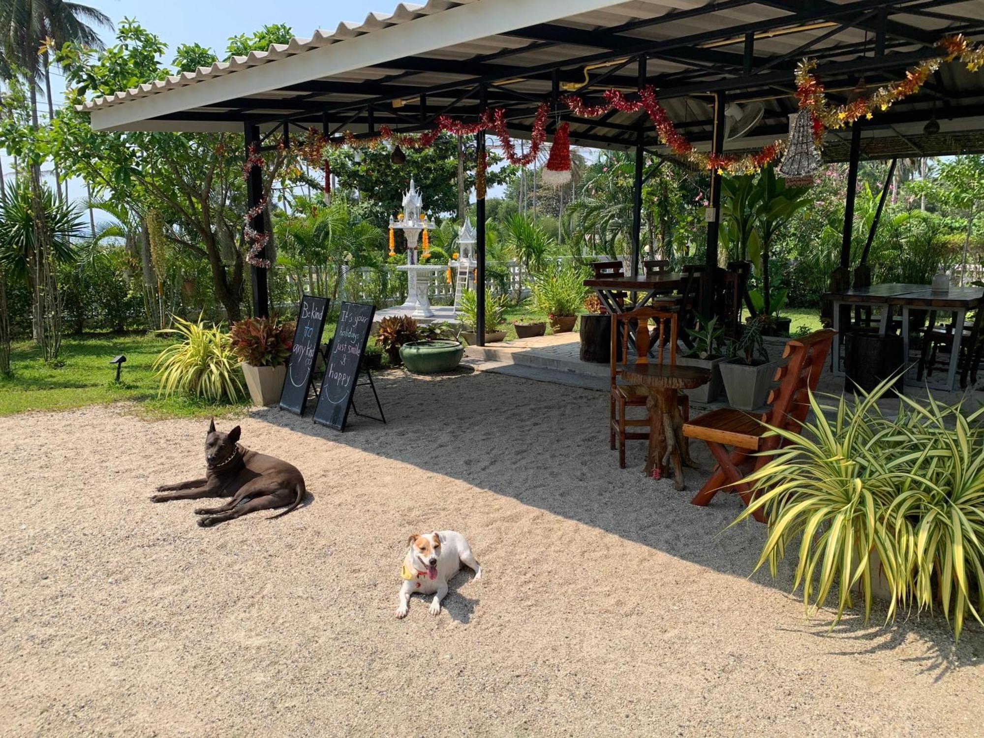 Phangan Hometown Resort - Adults Only Baan Tai Ngoại thất bức ảnh