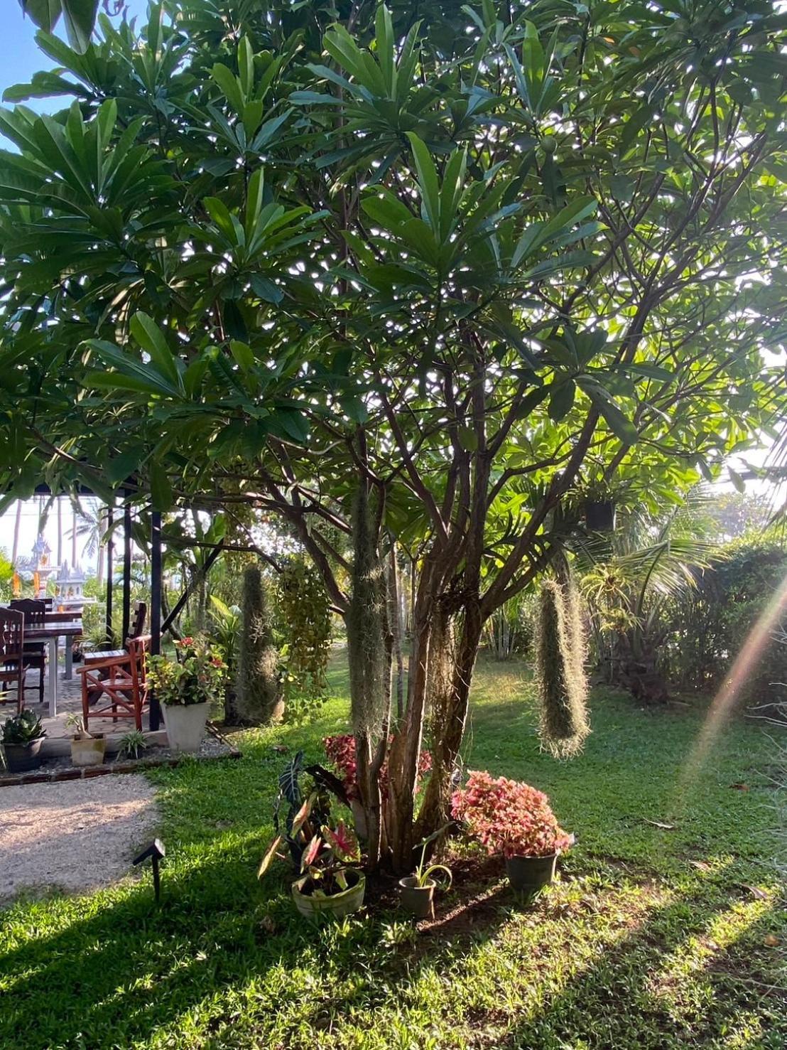 Phangan Hometown Resort - Adults Only Baan Tai Ngoại thất bức ảnh